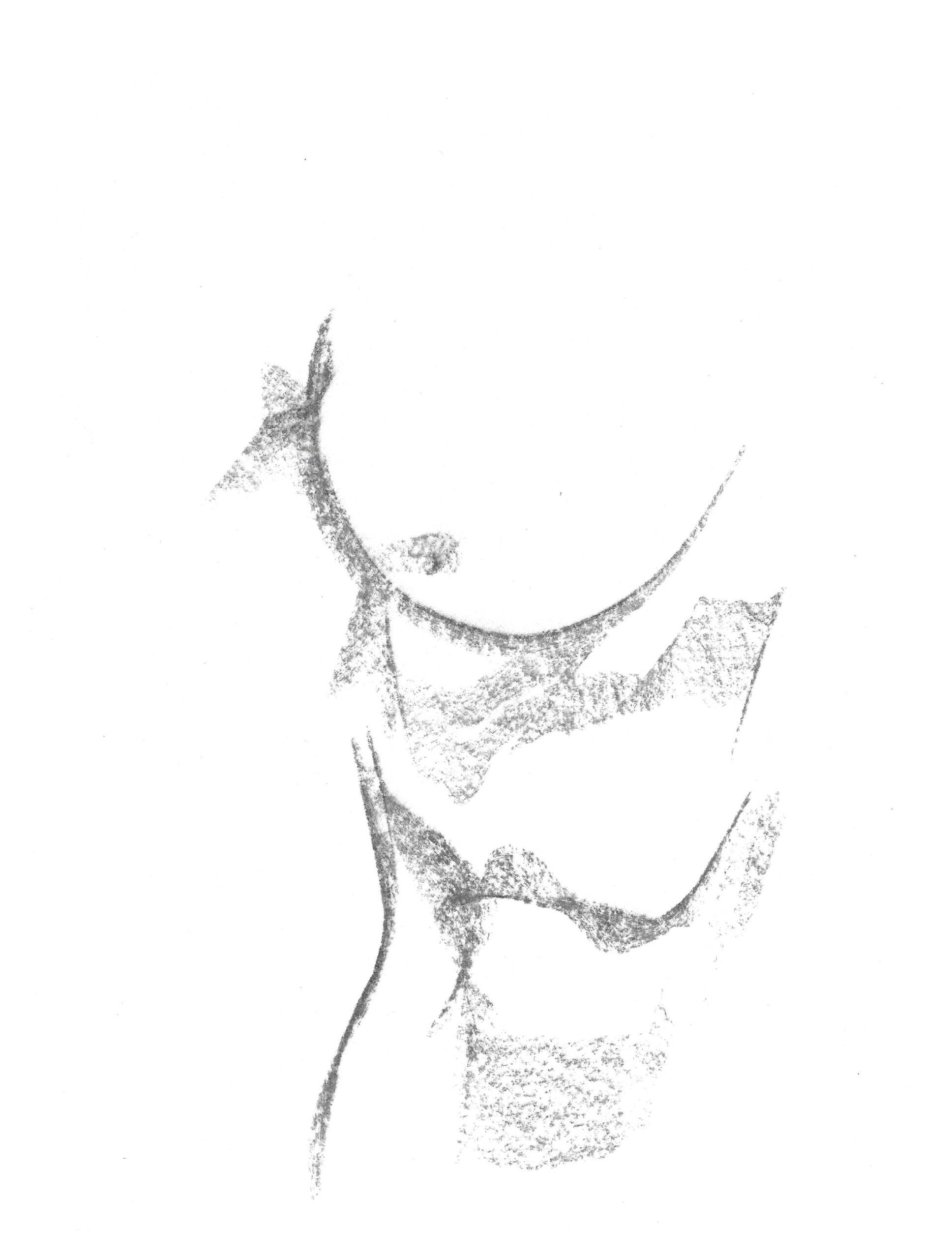 2021, fusain sur papier, 27,7 x 21 cm