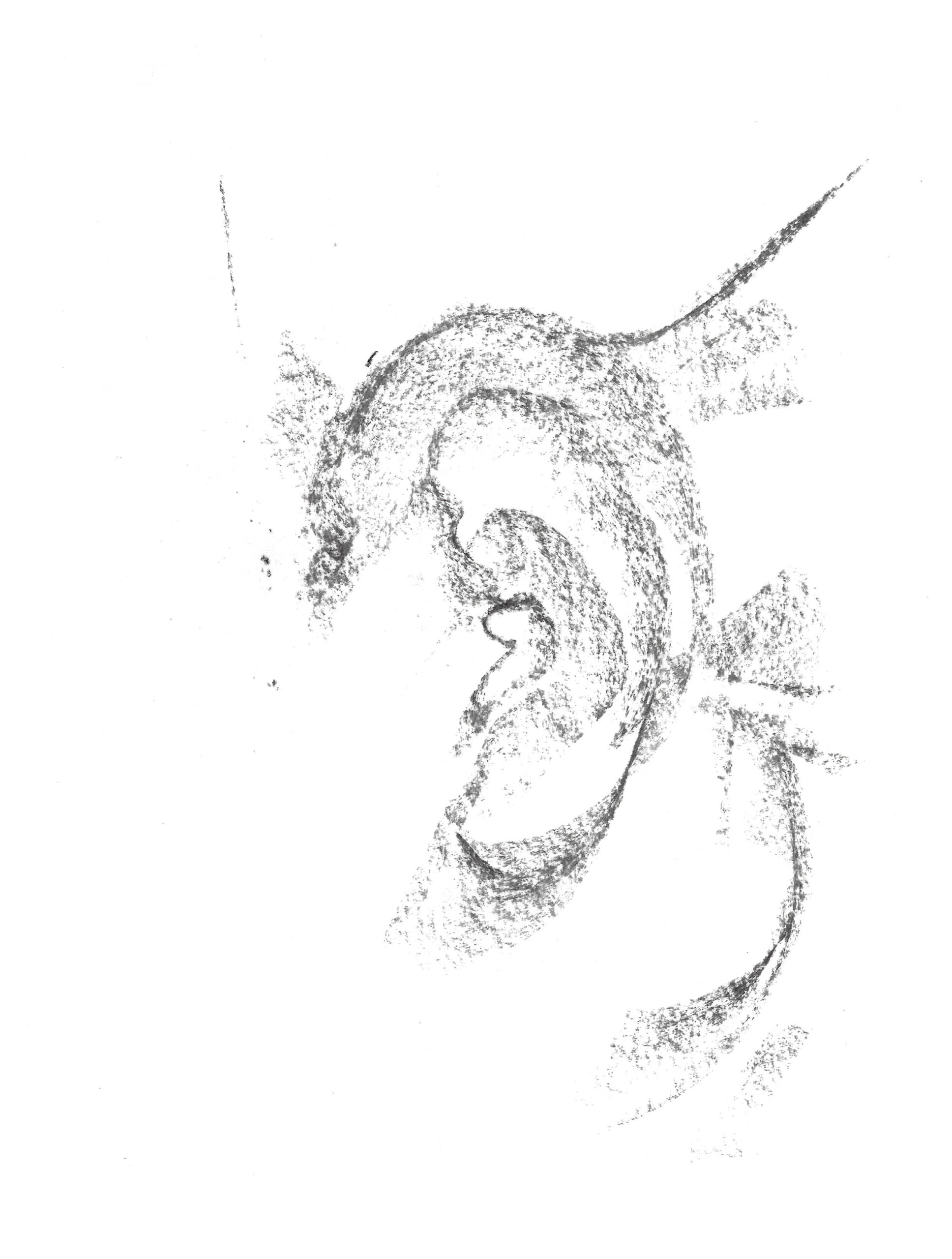 2021, fusain sur papier, 27,7 x 21 cm