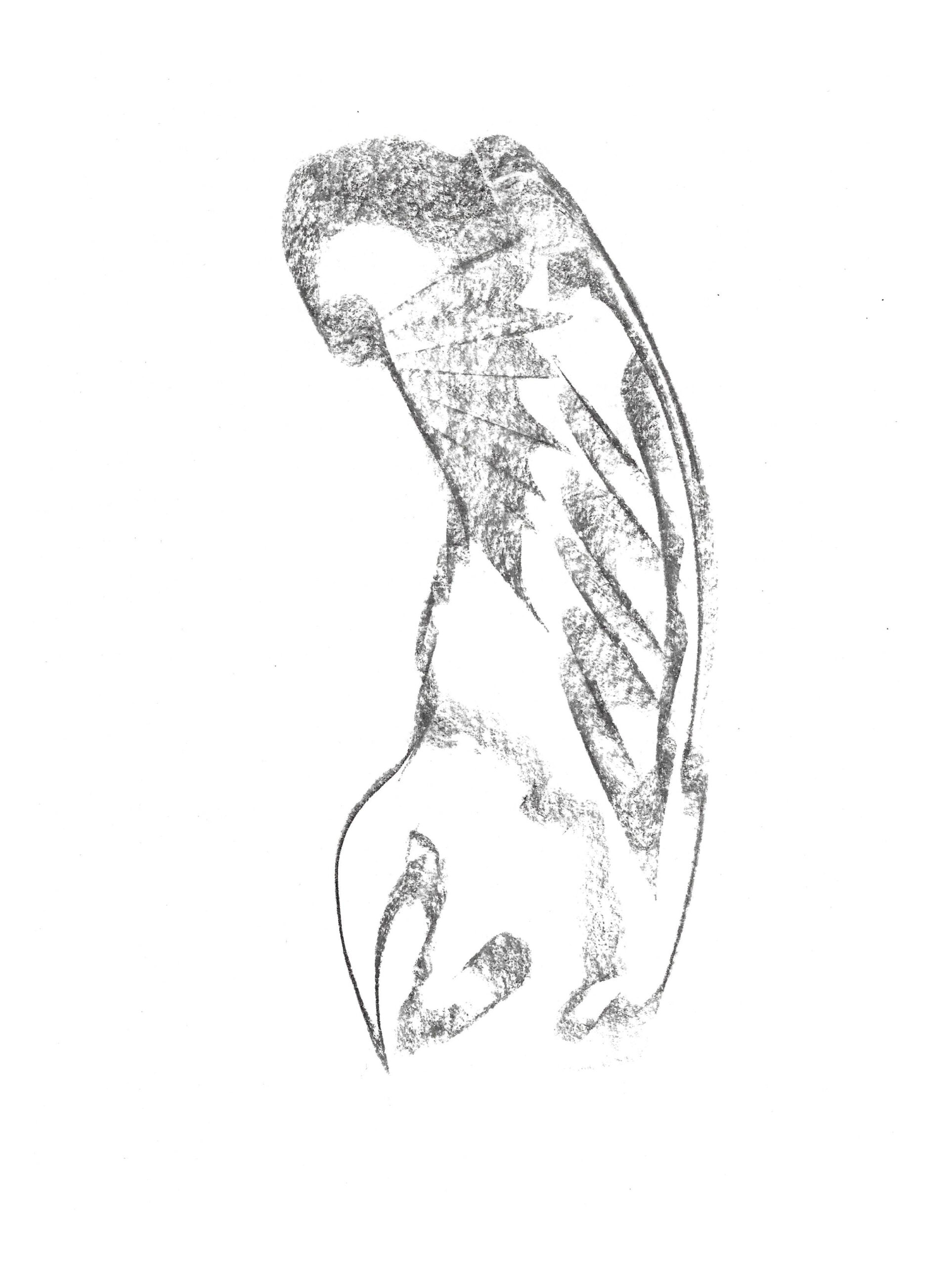 2021, fusain sur papier, 27,7 x 21 cm