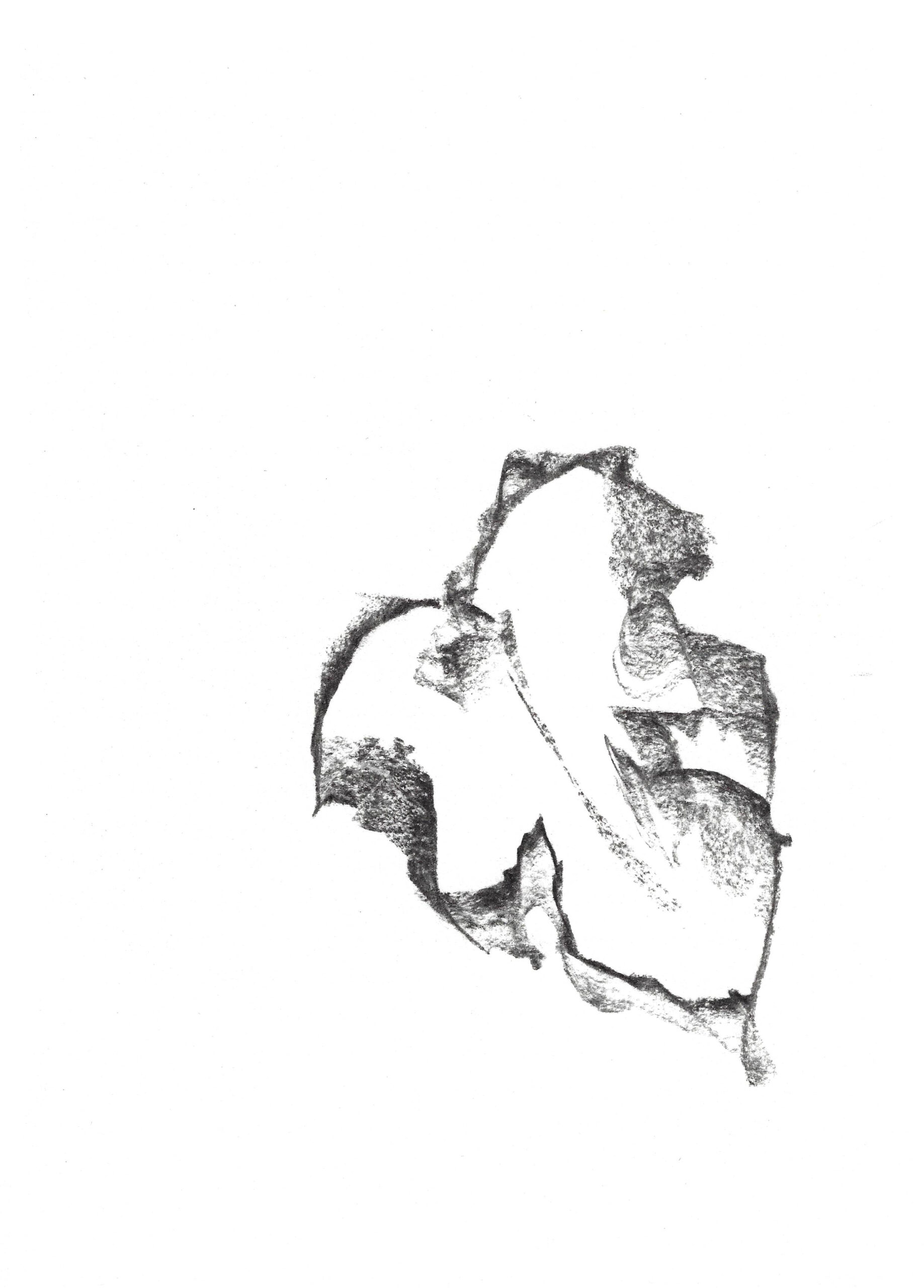 2023, fusain sur papier, 21 x 28 cm