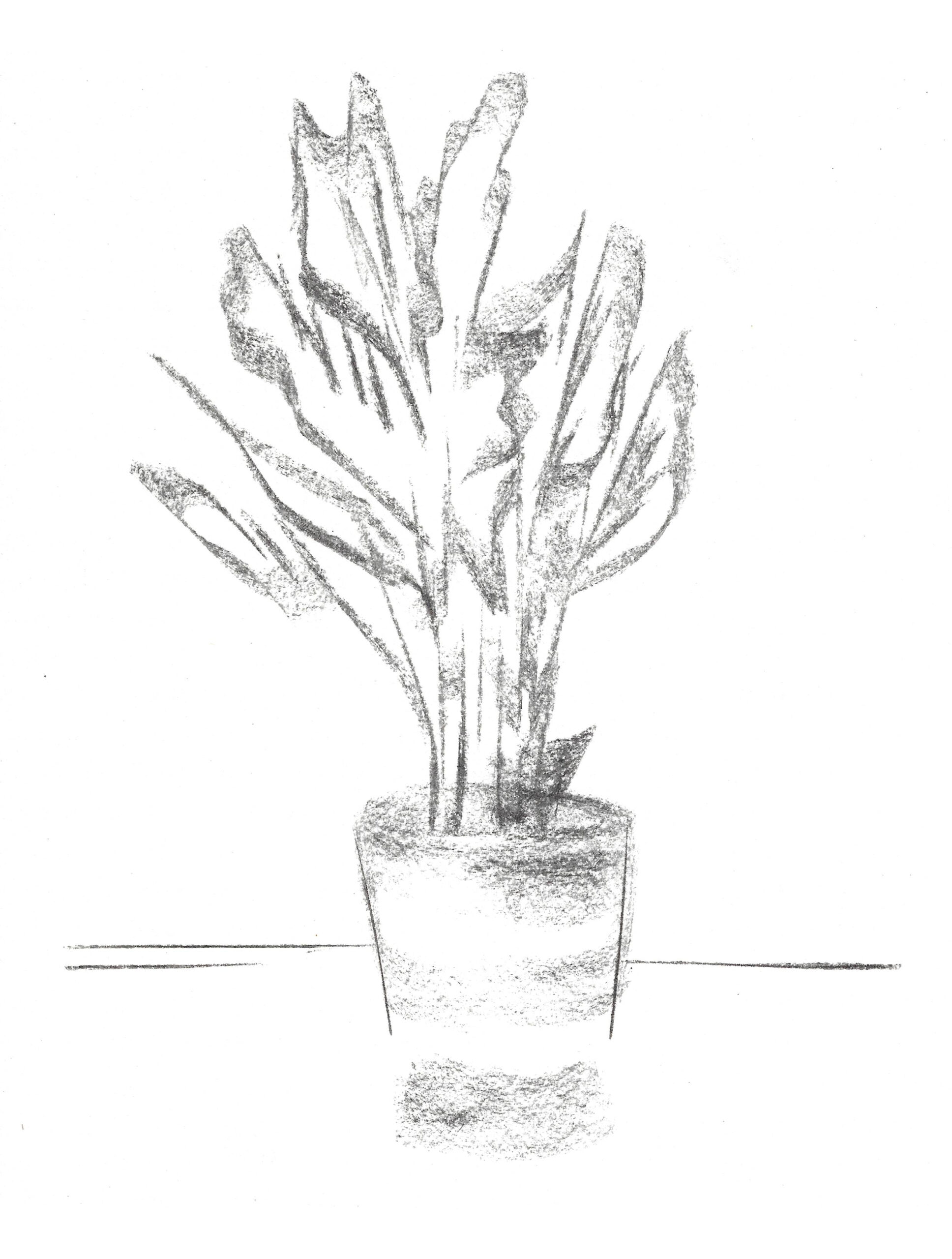 2021, fusain sur papier, 21 x 28 cm