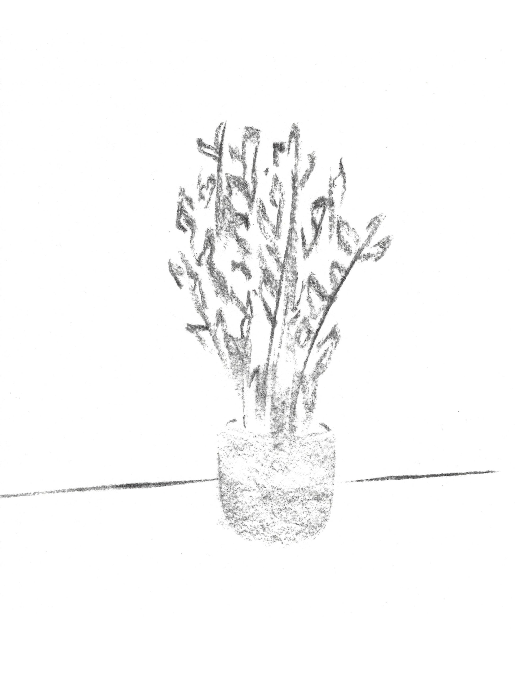 2021, fusain sur papier, 21 x 28 cm