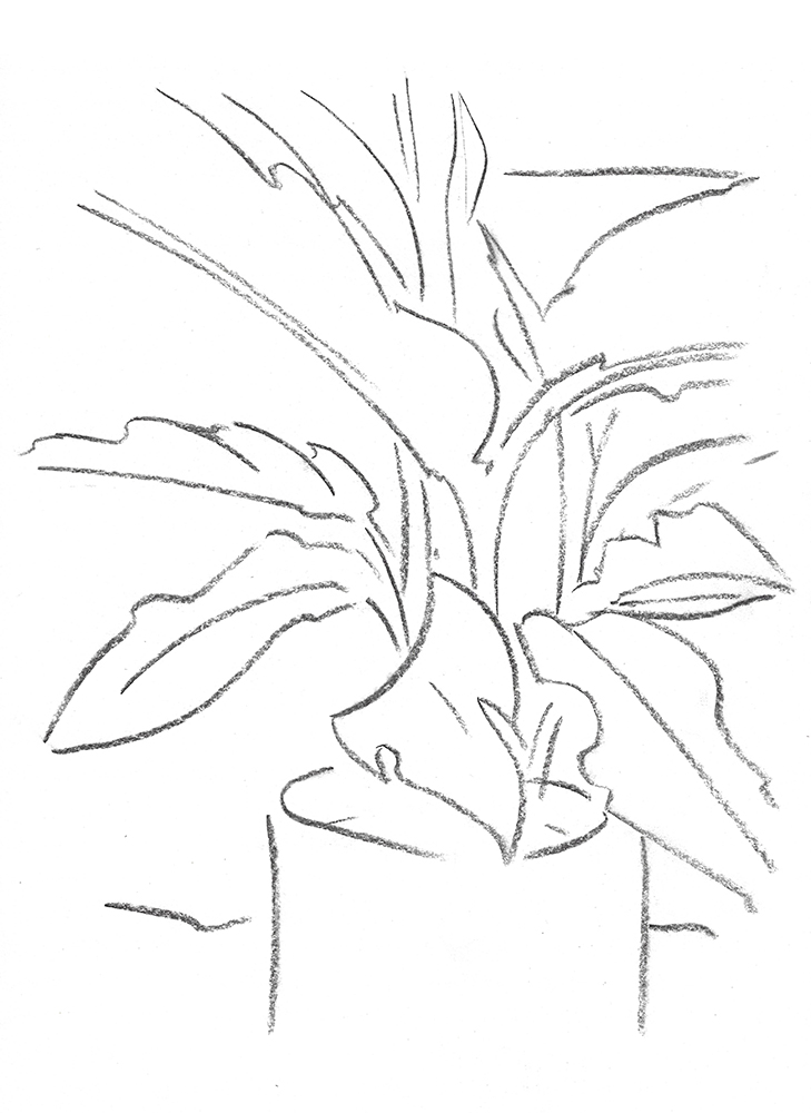 2021, fusain sur papier, 29,5 x 40,5 cm