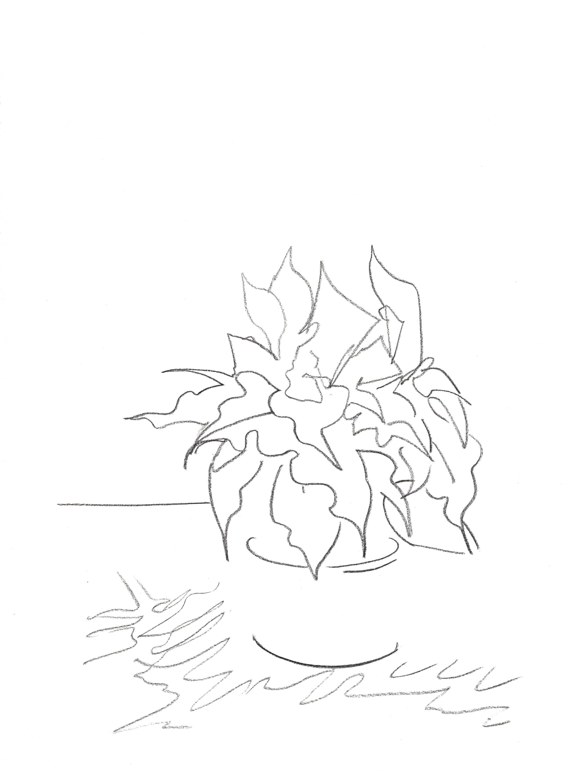 2021, fusain sur papier, 29,5 x 40,5 cm