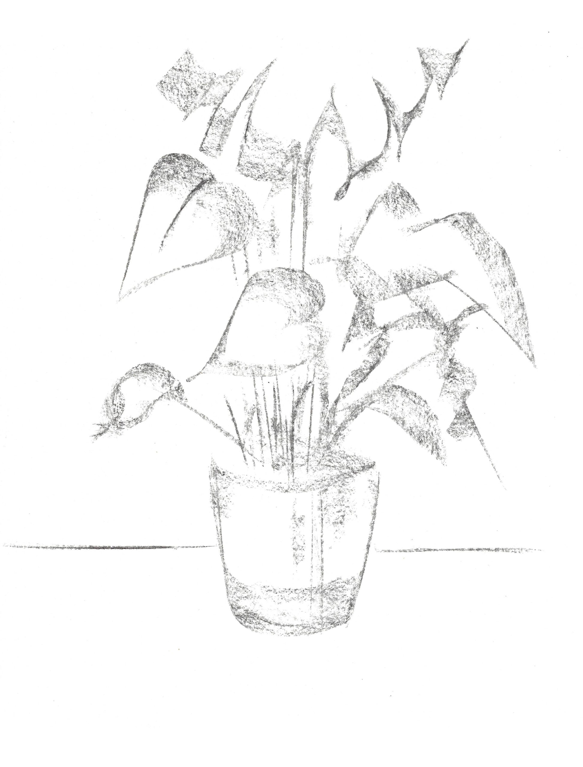 2021, fusain sur papier, 21 x 28 cm