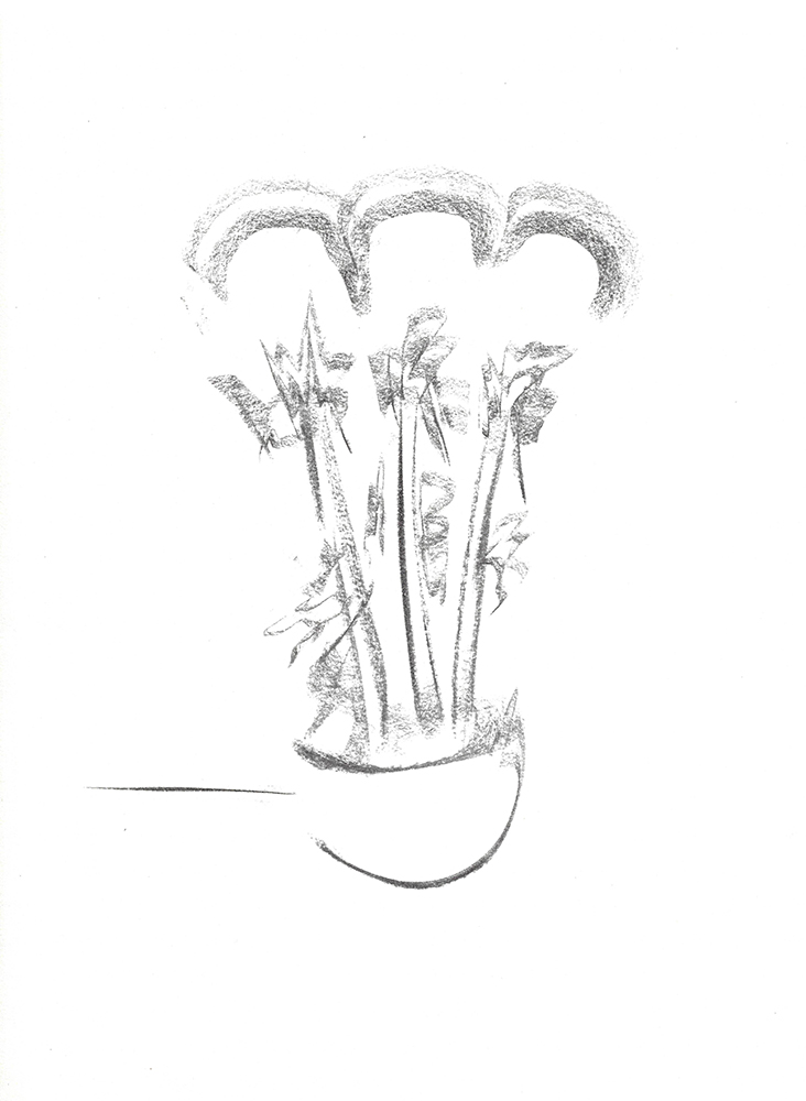 2021, fusain sur papier, 30,5x 38 m