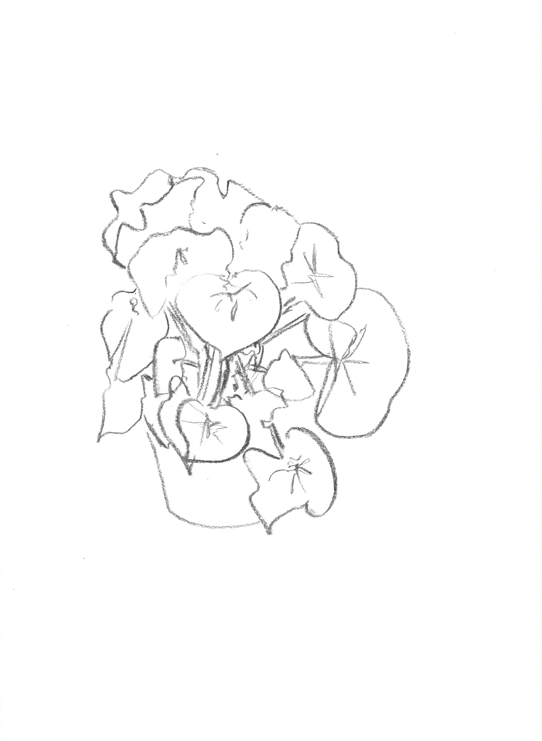 2021, fusain sur papier, 30,5x 38 m