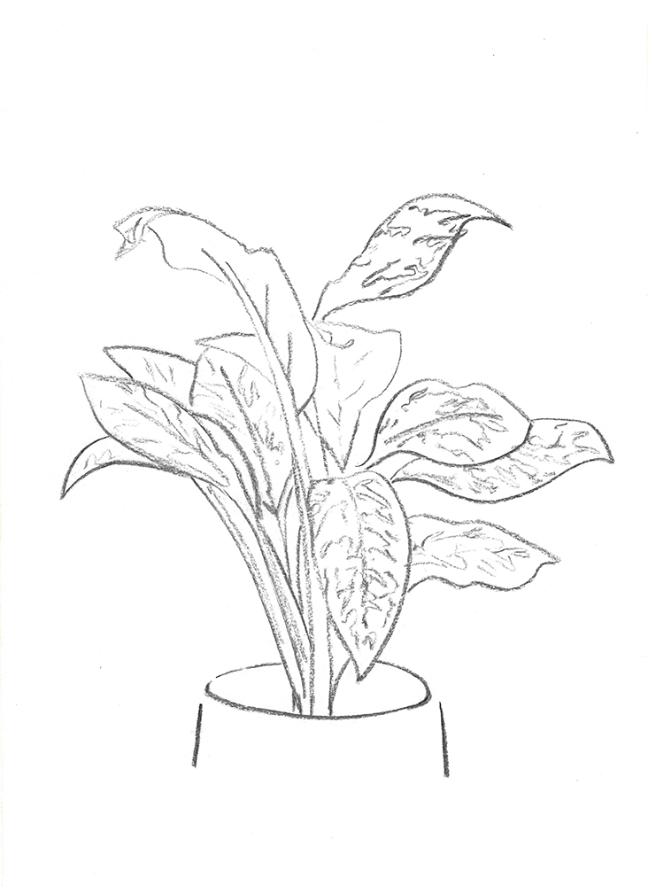 2021, fusain sur papier, 30,5x 38 m