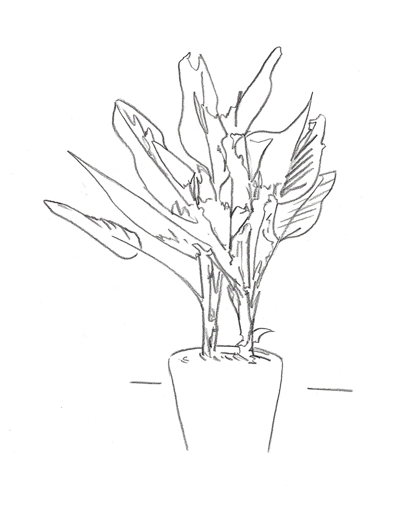 2021, fusain sur papier, 30,5x 38 m