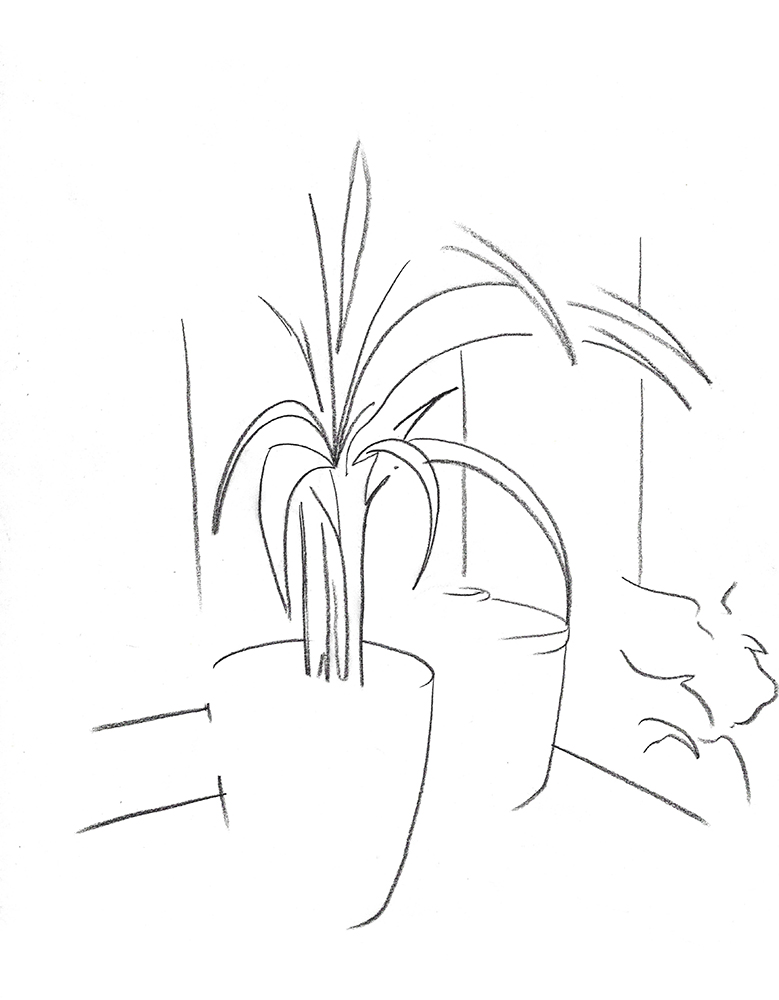 2021, fusain sur papier, 30,5x 38 m