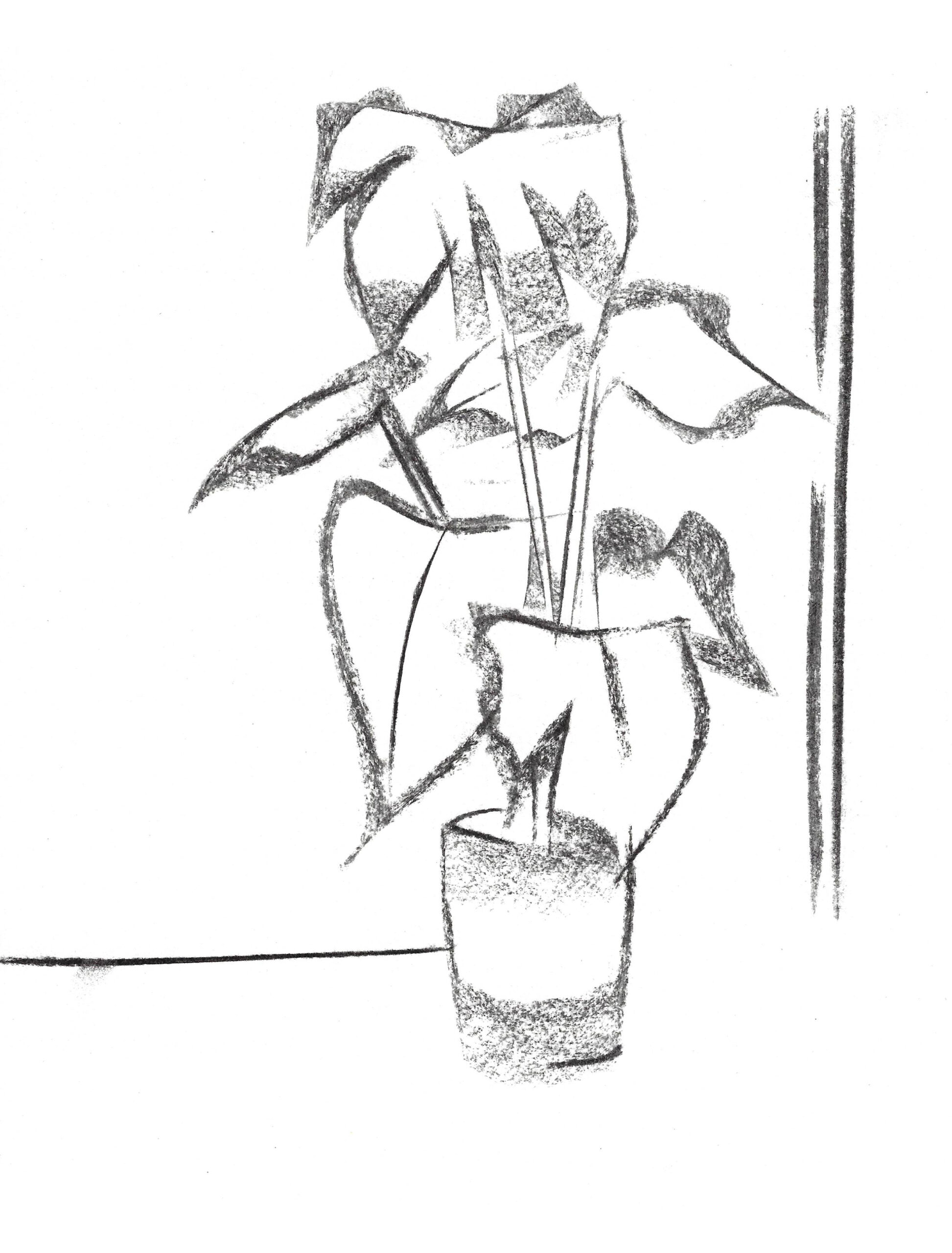 2021, fusain sur papier, 21 x 28 cm