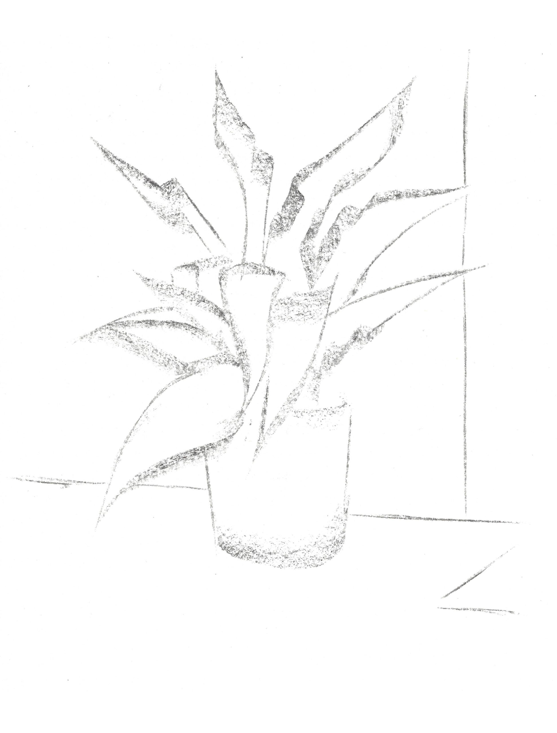 2021, fusain sur papier, 21 x 28 cm