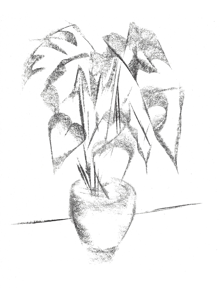 2021, fusain sur papier, 21 x 28 cm