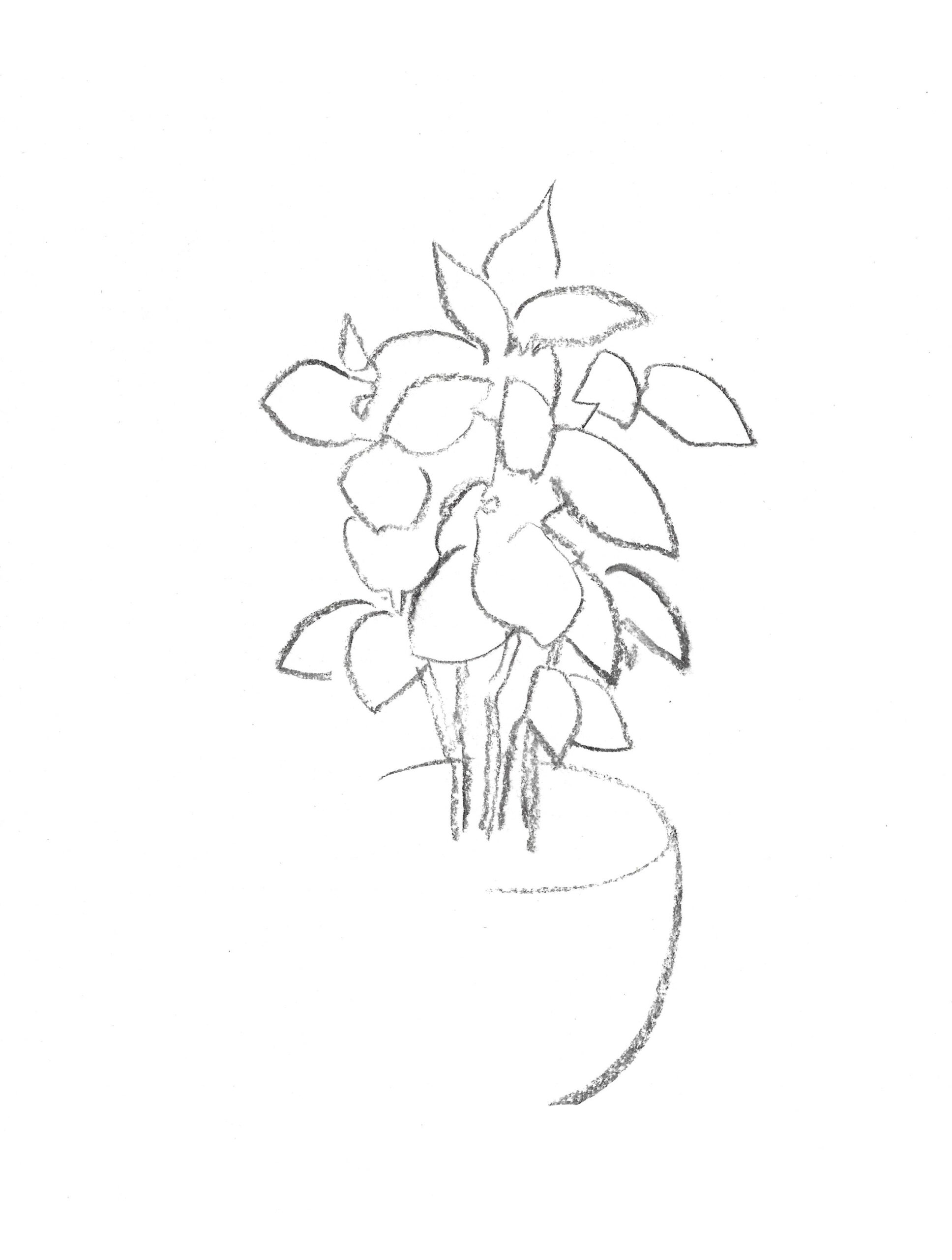 2021, fusain sur papier, 21 x 28 cm