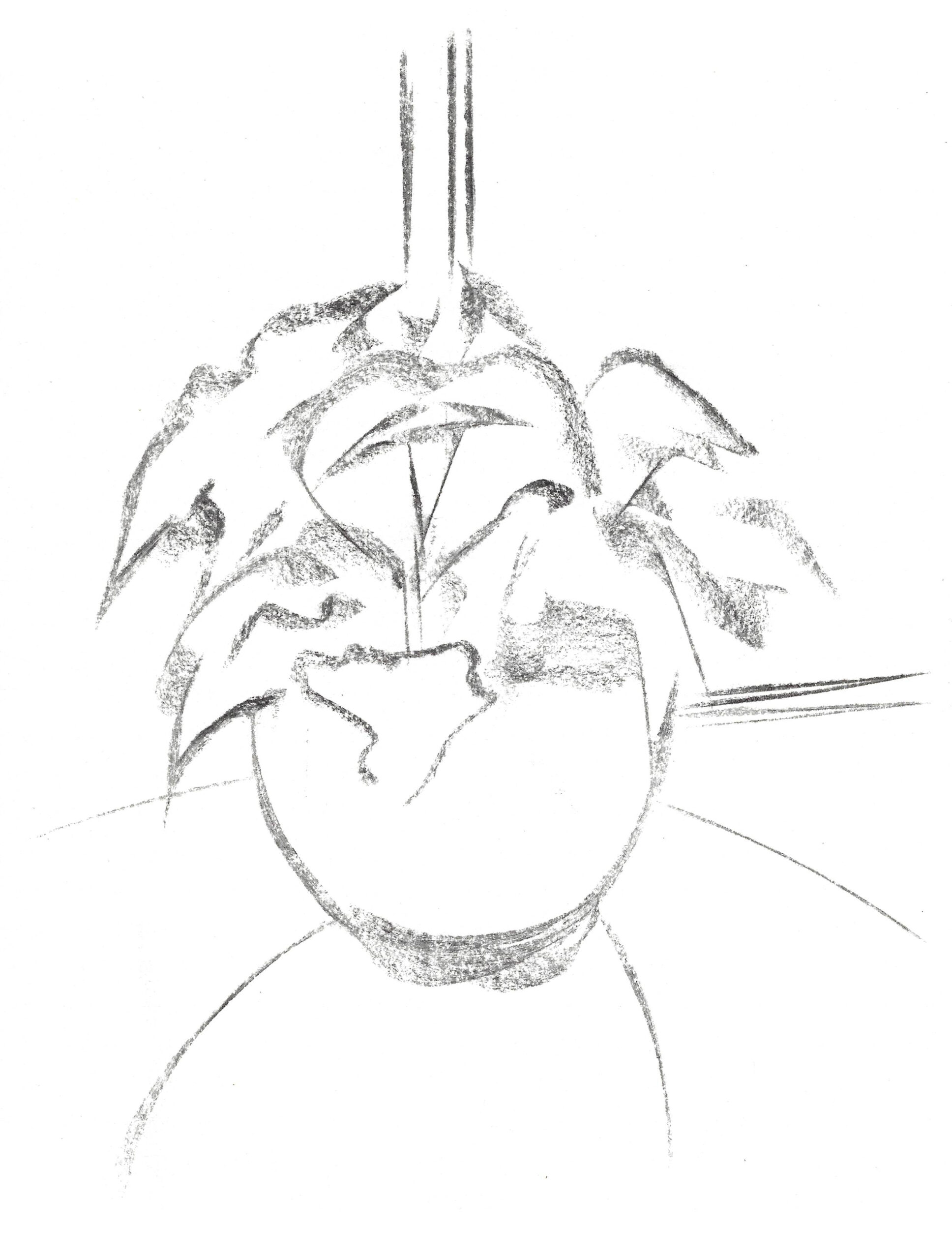 2021, fusain sur papier, 21 x 28 cm