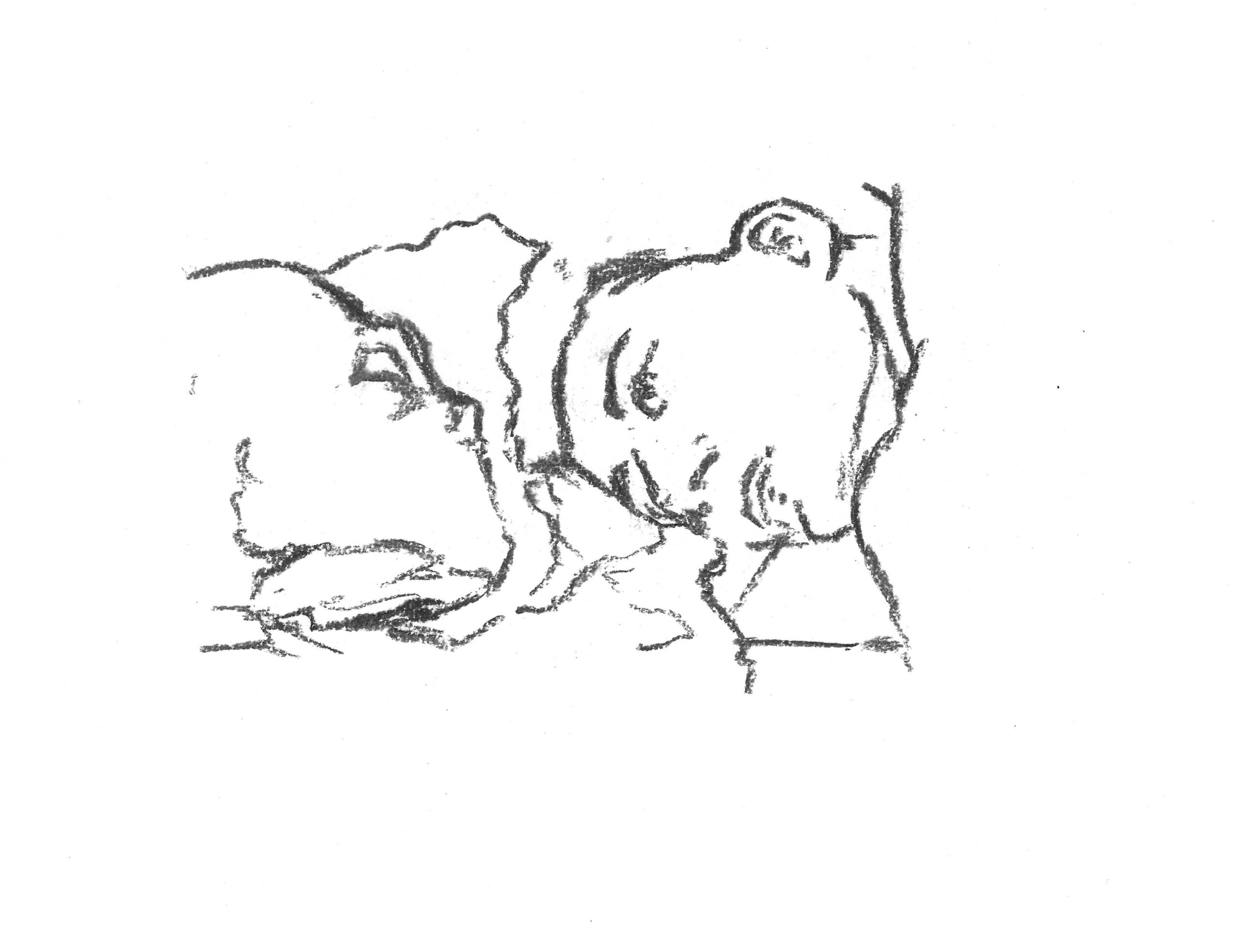 2016, fusain sur papier, 30x 30 cm