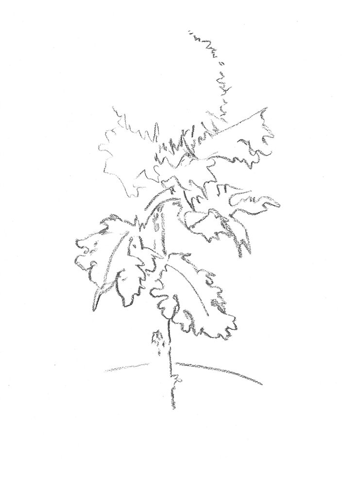 2021, fusain sur papier, 29,5 x 40,5 cm