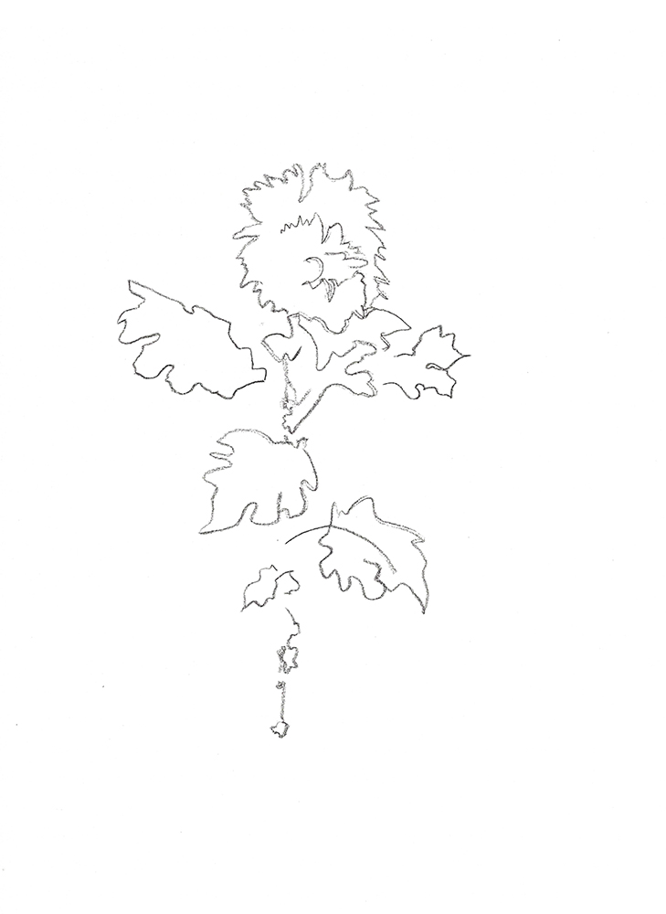 2021, fusain sur papier, 29,5 x 40,5 cm