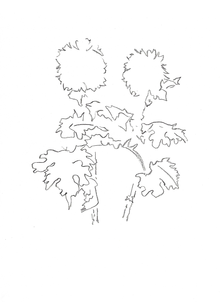 2021, fusain sur papier, 29,5 x 40,5 cm