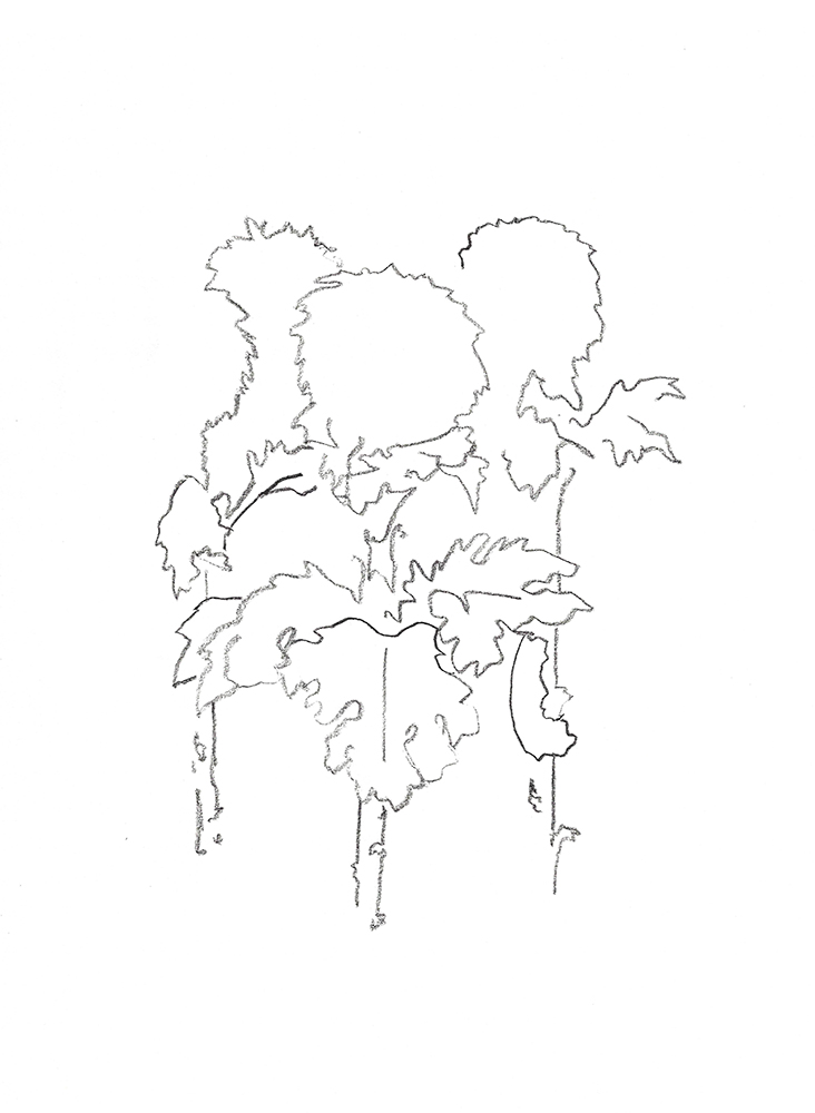 2021, fusain sur papier, 29,5 x 40,5 cm