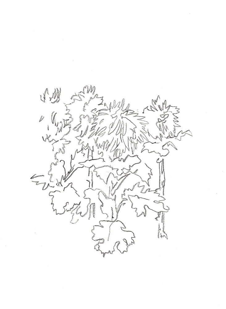 2021, fusain sur papier, 29,5 x 40,5 cm