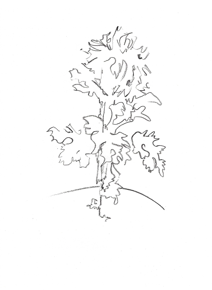 2021, fusain sur papier, 29,5 x 40,5 cm