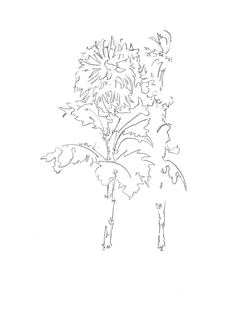 2021, fusain sur papier, 29,5 x 40,5 cm