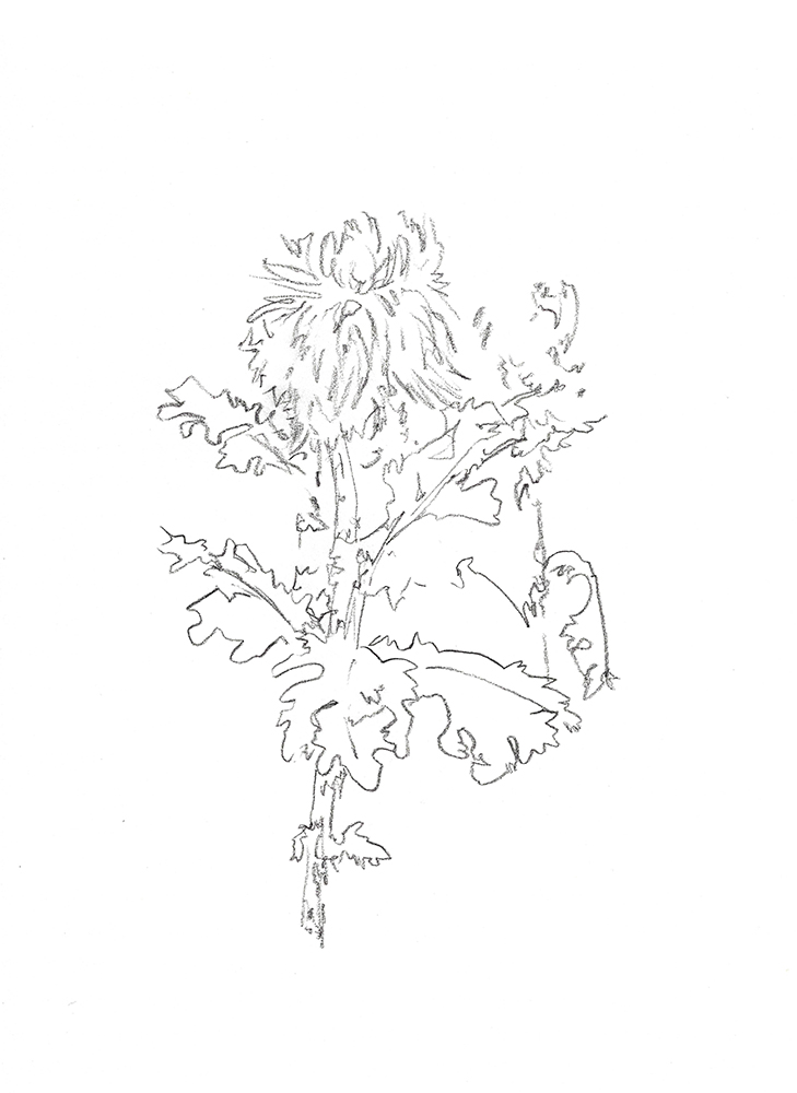 2021, fusain sur papier, 29,5 x 40,5 cm