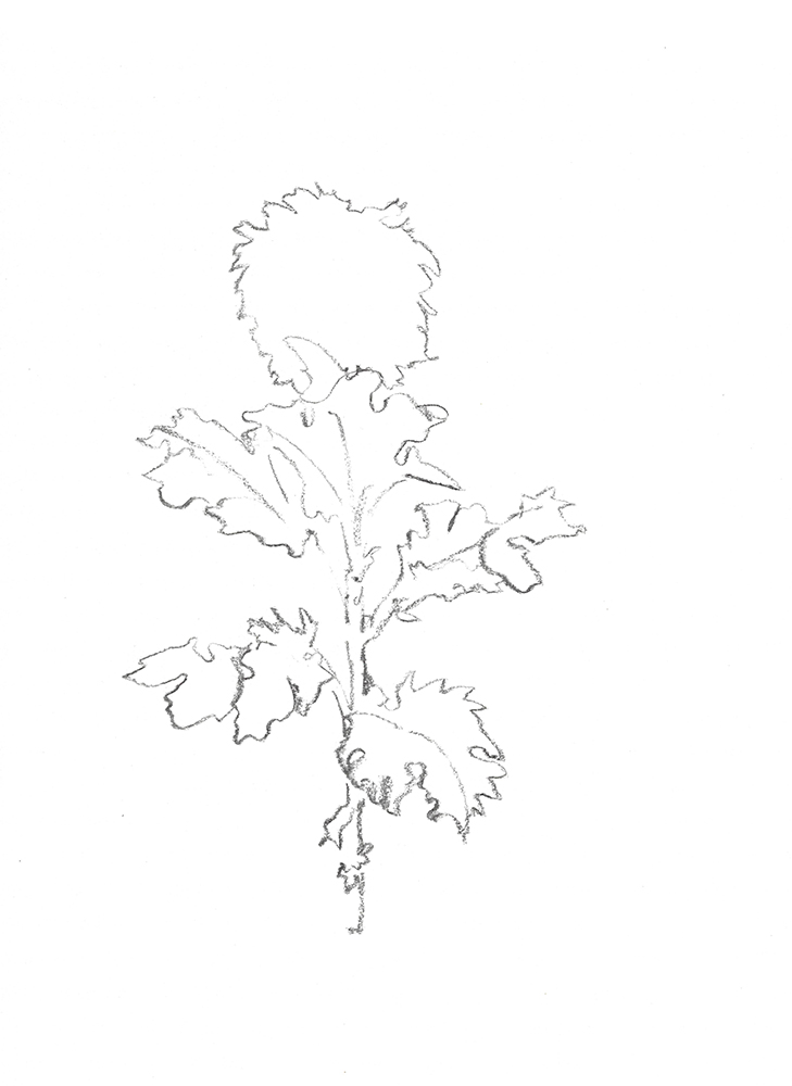 2021, fusain sur papier, 29,5 x 40,5 cm