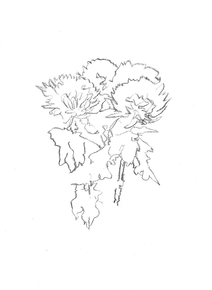 2021, fusain sur papier, 29,5 x 40,5 cm