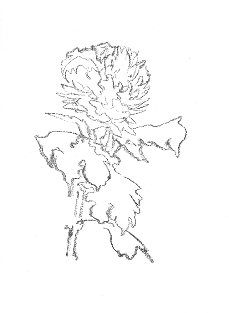 2021, fusain sur papier, 29,5 x 40,5 cm