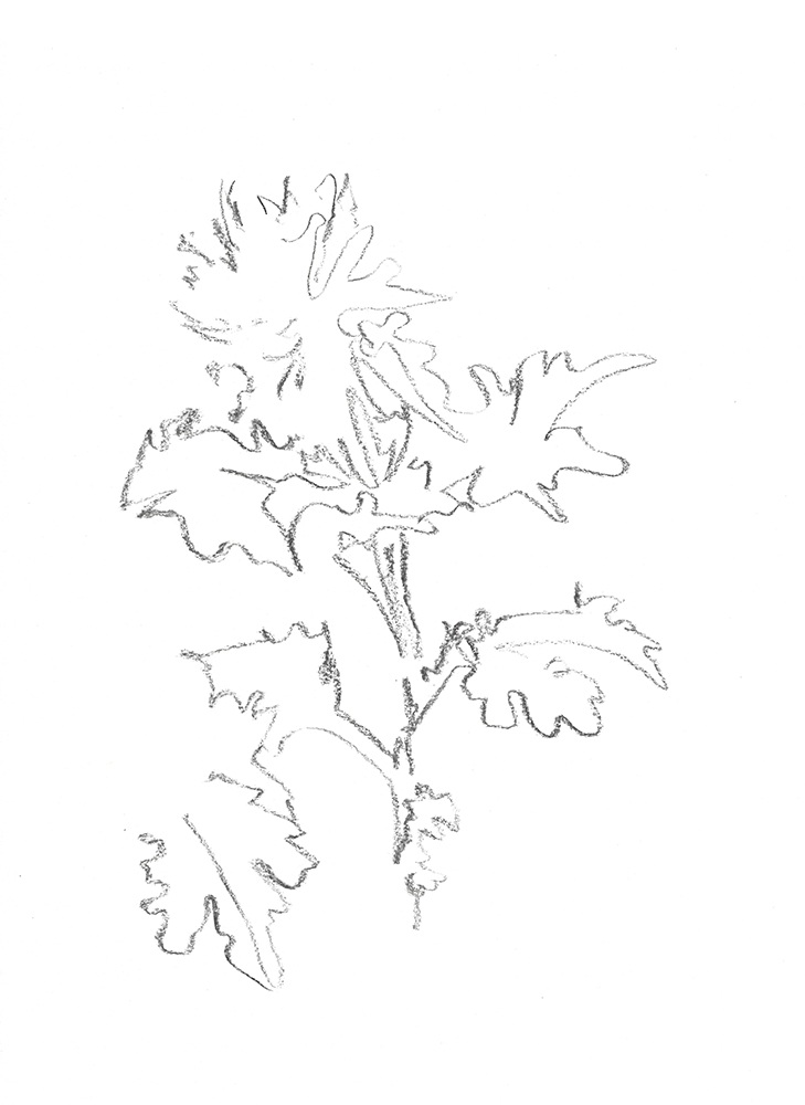 2021, fusain sur papier, 29,5 x 40,5 cm