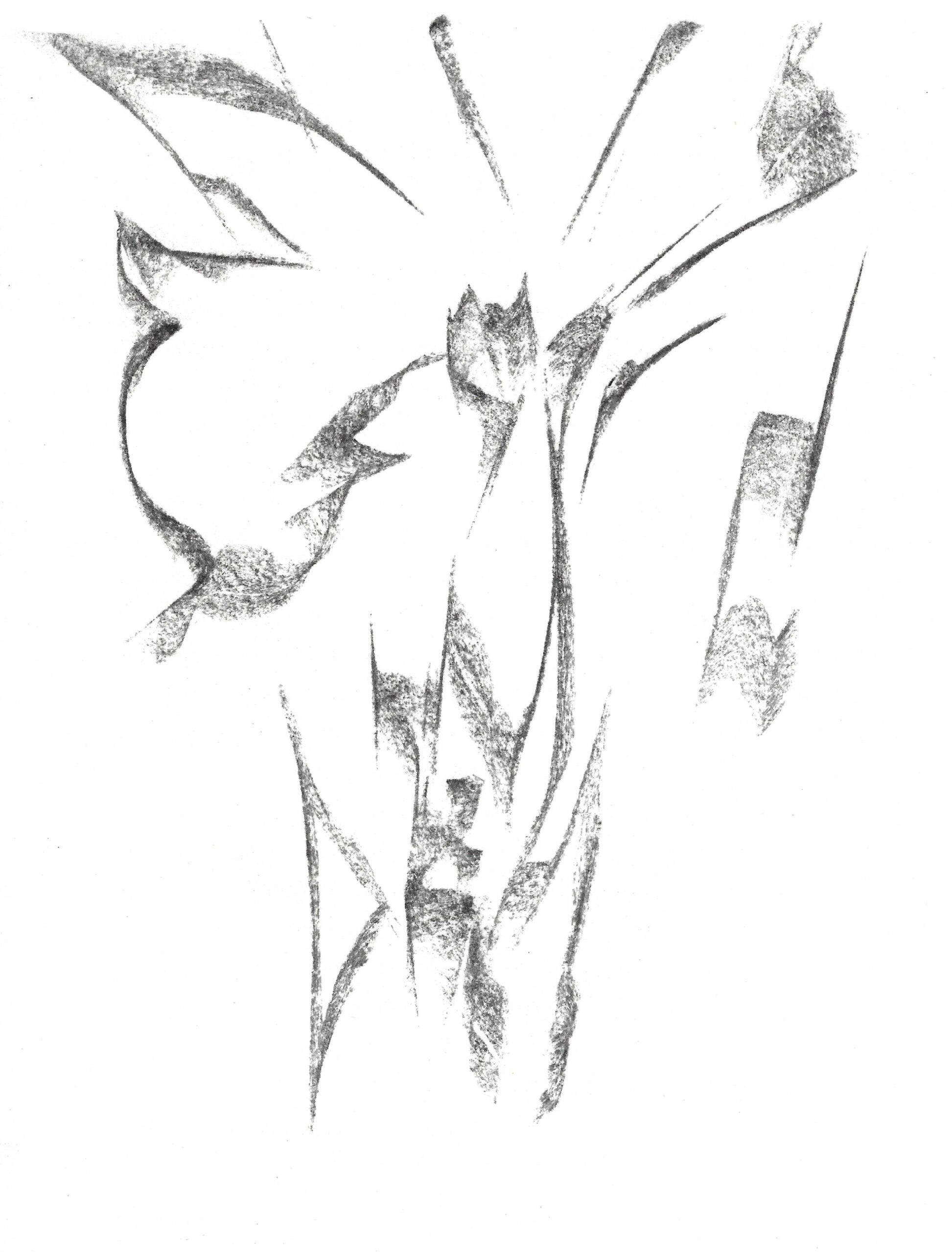 2021, fusain sur papier, 21 x 28 cm