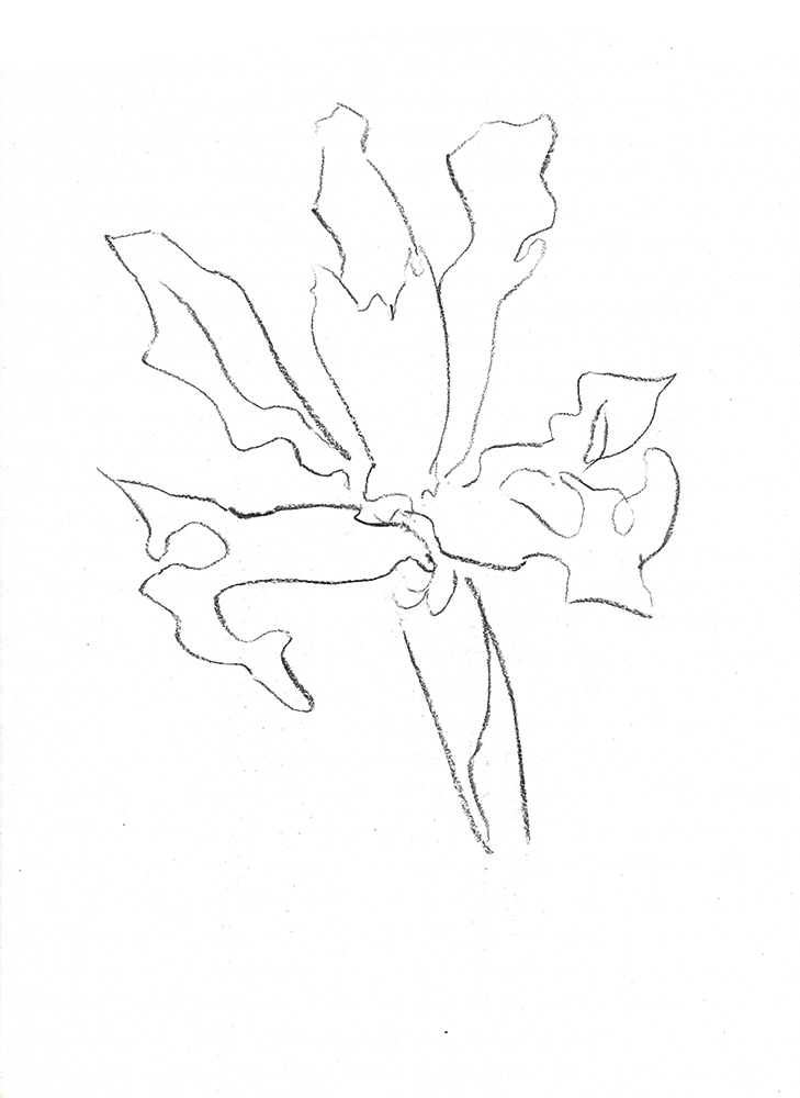 2021, fusain sur papier, 29,5 x 40 cm