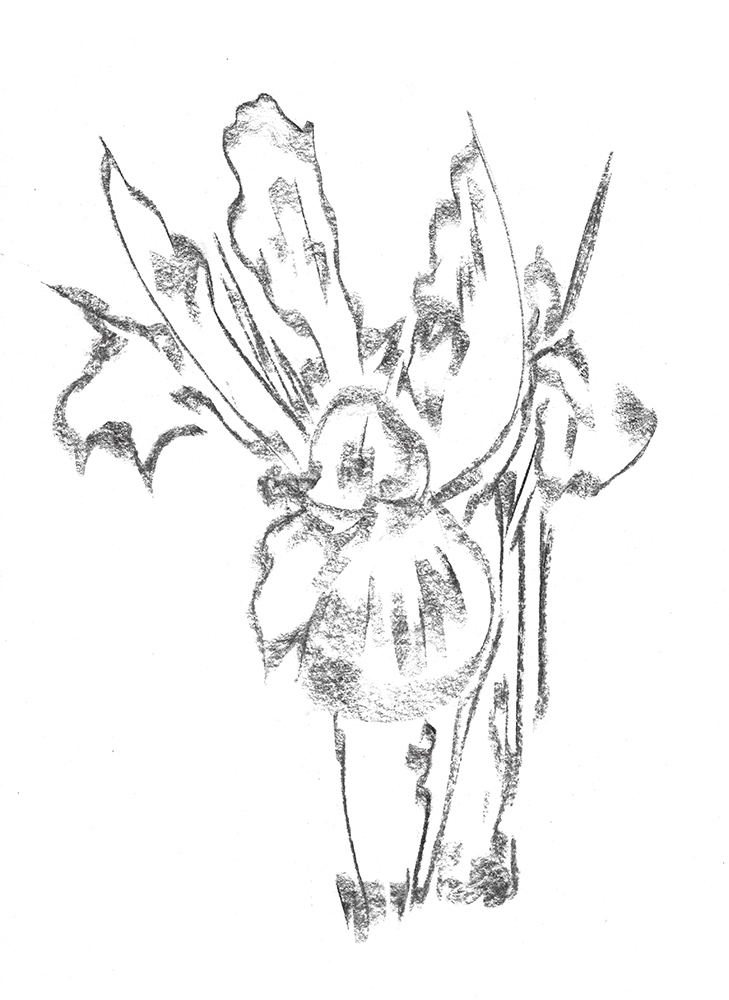 2021, fusain sur papier, 29,5 x 40 cm