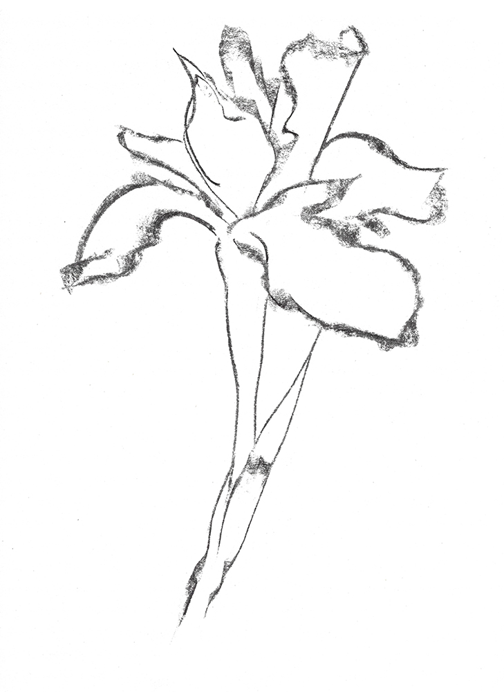 2021, fusain sur papier, 29,5 x 40 cm