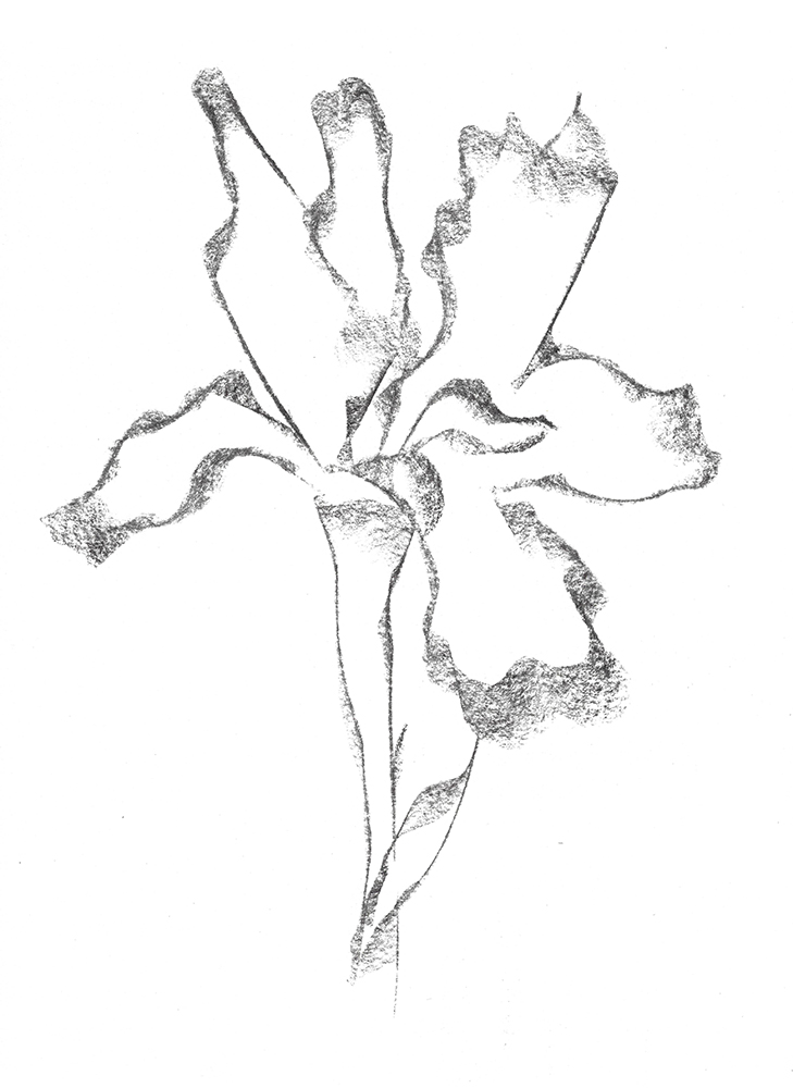 2021, fusain sur papier, 29,5 x 40 cm