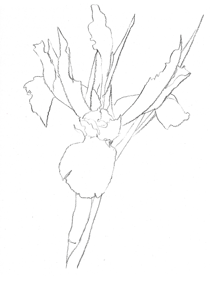 2021, fusain sur papier, 29,5 x 40 cm