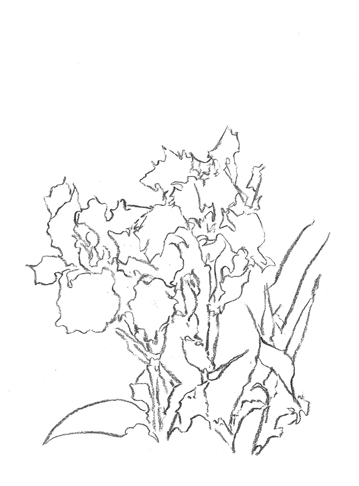 2021, fusain sur papier, 29,5 x 40 cm