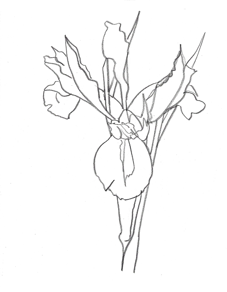 2021, fusain sur papier, 30,5x 40,5 cm