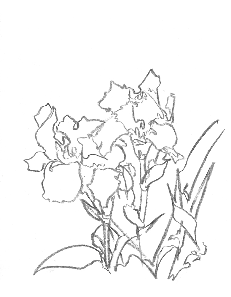 2021, fusain sur papier, 30,5x 40,5 cm