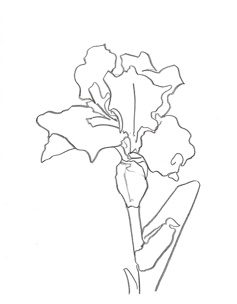 2021, fusain sur papier, 30,5x 40,5 cm