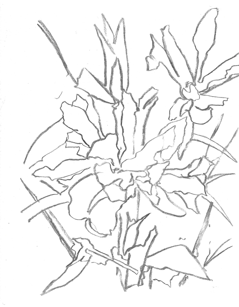 2021, fusain sur papier, 30,5x 40,5 cm