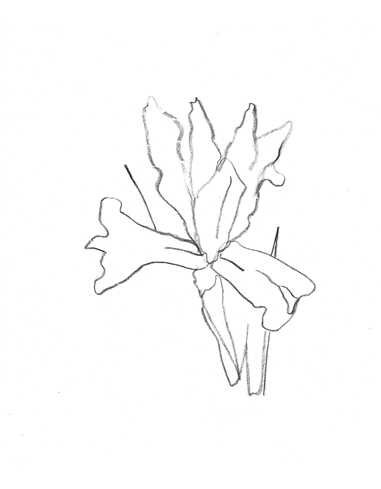 2021, fusain sur papier, 30,5x 40,5 cm