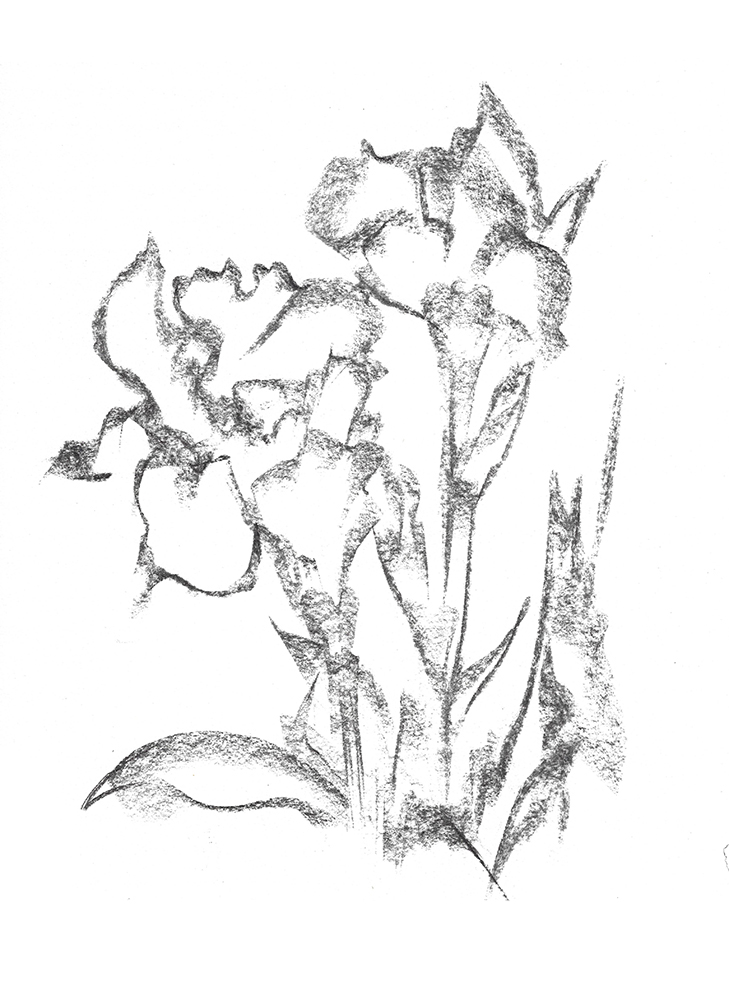 2021, fusain sur papier, 30,5x 40,5 cm