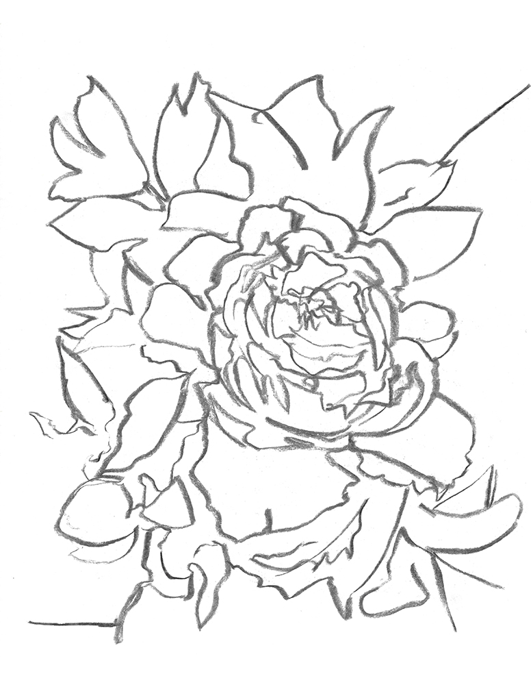 2021, fusain sur papier, 30,5 x 38 cm