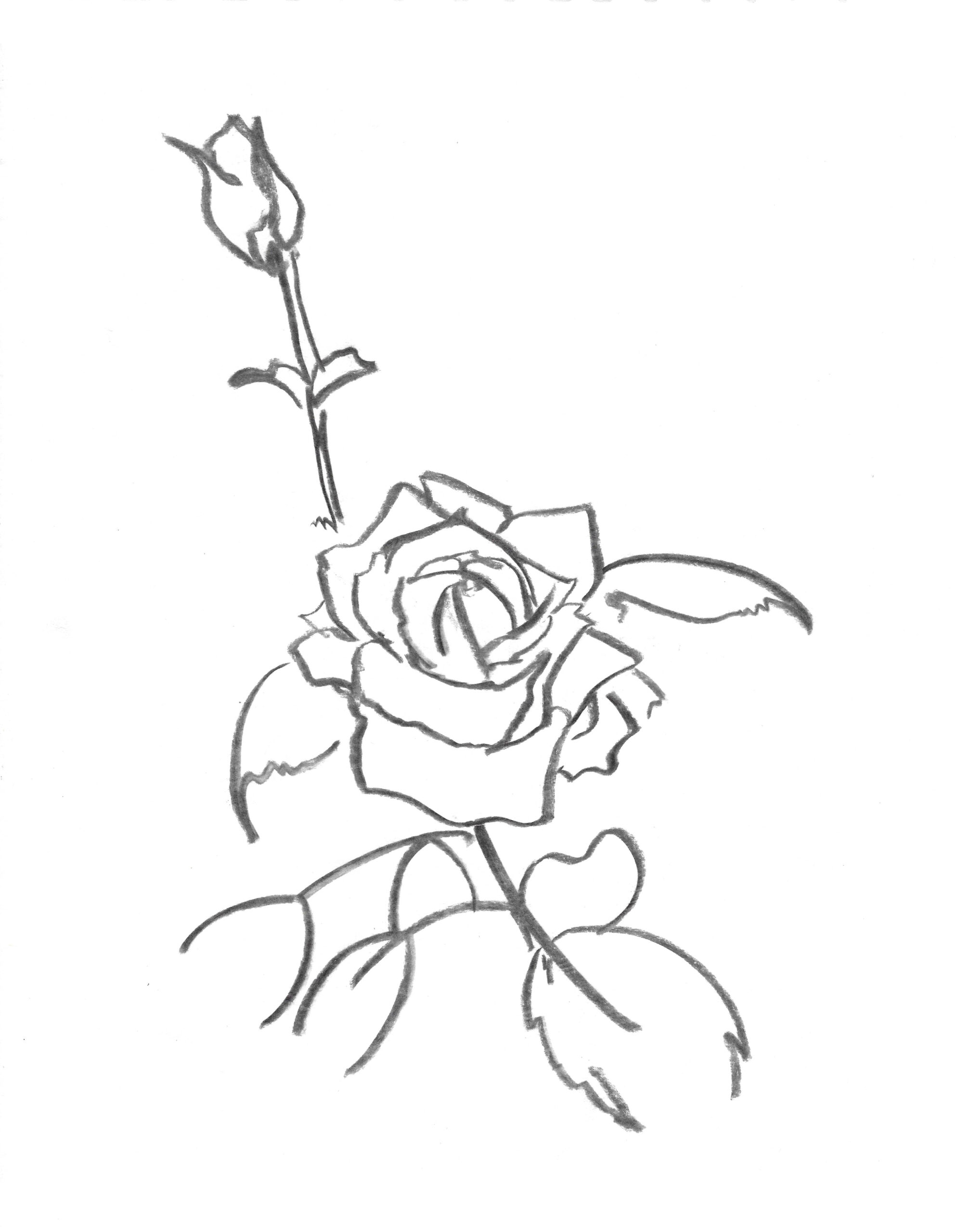 2021, fusain sur papier, 30,5 x 38 cm