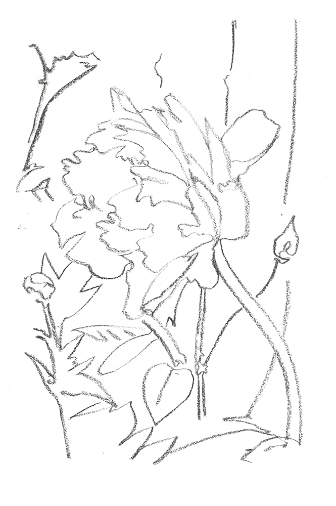 2021, fusain sur papier, 29,5 x 40,5 cm