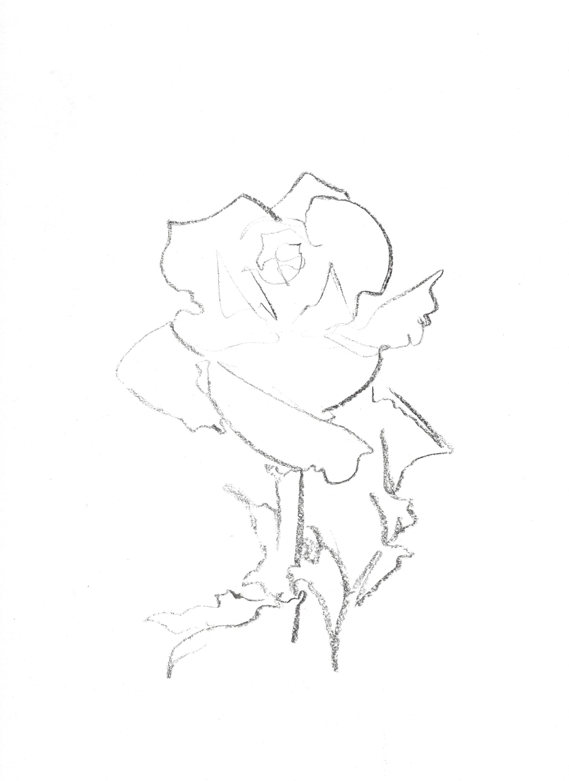 2021, fusain sur papier, 29,5 x 40,5 cm