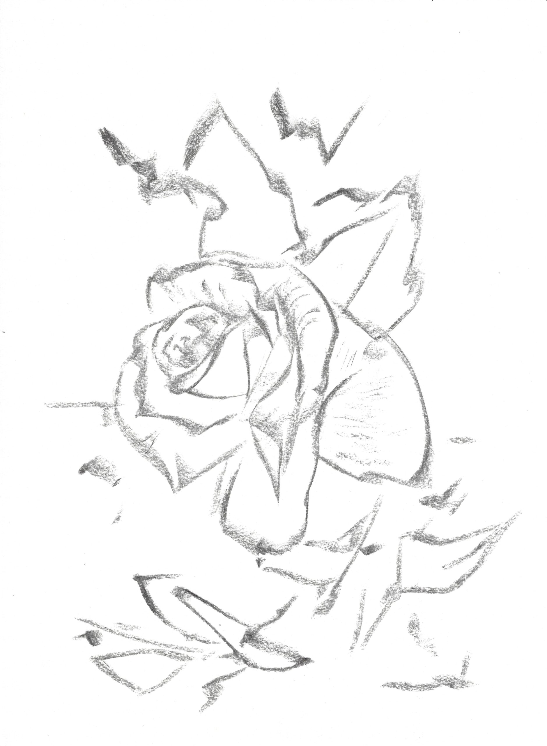 2021, fusain sur papier, 29,5 x 40,5 cm